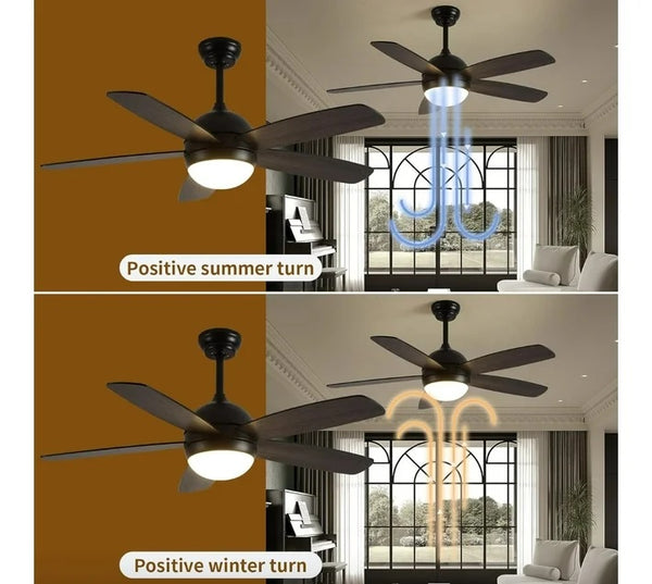 Modern Interchangeable Black 5 Blades Ceiling Fan Lights