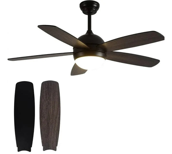 Modern Interchangeable Black 5 Blades Ceiling Fan Lights