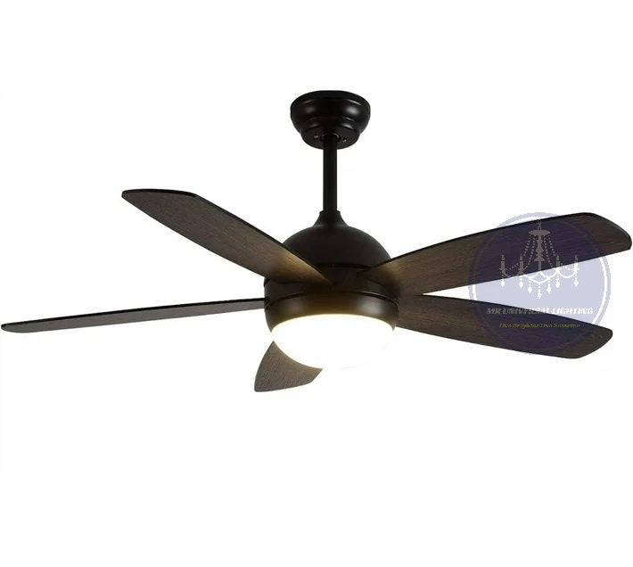 Modern Interchangeable Black 5 Blades Ceiling Fan Lights