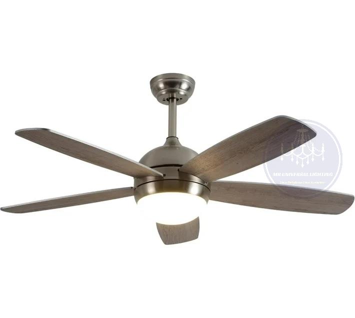 Modern Interchangeable Silver 5 Blades Ceiling Fan Lights