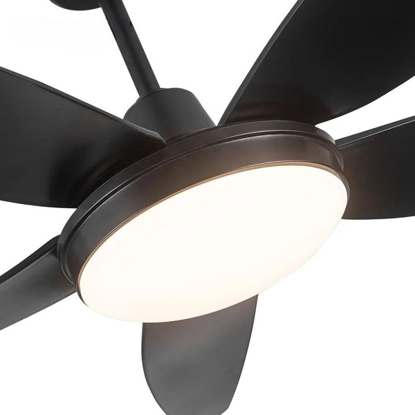 Modern Minimalist Black 5 Blades Ceiling Fan Lights