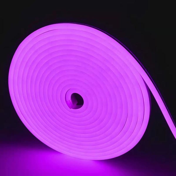 12V 5M Neon Flex LED Strip Lights