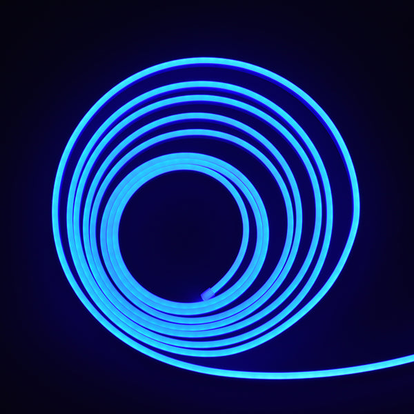 12V 5M Neon LED Strip Light Blue