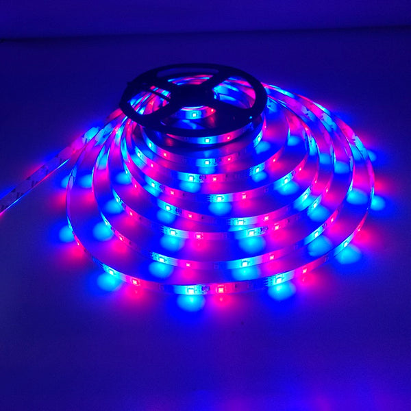 5M RGB LED Strip Sets