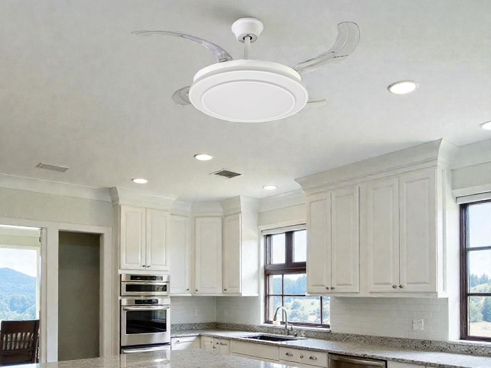 Modern LED Ceiling Fan Light with Transparent Acrylic Blades JAFL010 - Image 4
